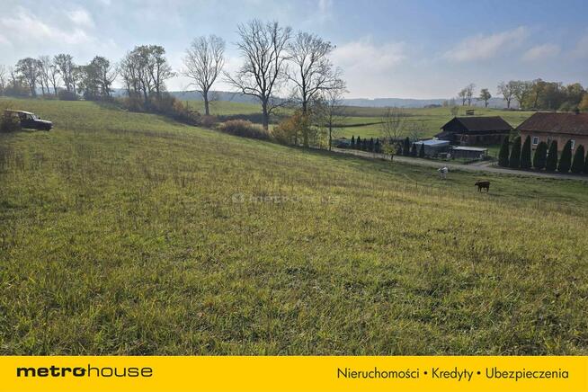 Działka zagrodowa nad jeziorem Narie w Wilnowie.