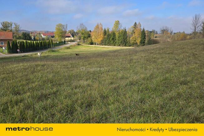 Działka zagrodowa nad jeziorem Narie w Wilnowie.