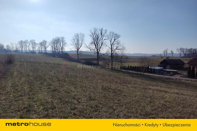 Działka zagrodowa nad jeziorem Narie w Wilnowie.