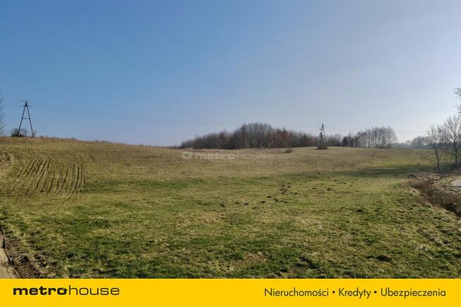 Działka zagrodowa nad jeziorem Narie w Wilnowie.