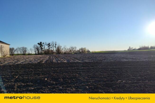 Grunty rolne dobrej klasy w Jankowicach