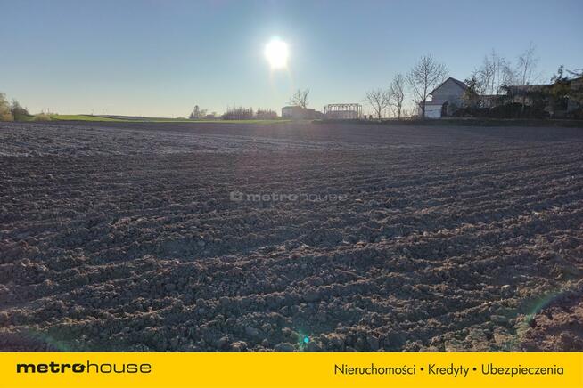 Grunty rolne dobrej klasy w Jankowicach