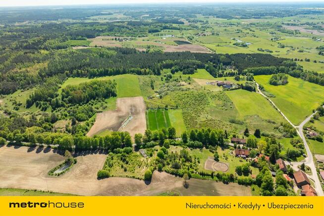 Magiczna działka na Warmii - stawy i zieleń