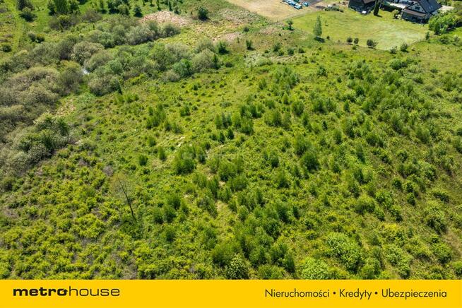 Magiczna działka na Warmii - stawy i zieleń