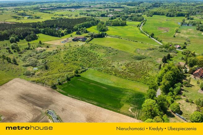 Magiczna działka na Warmii - stawy i zieleń