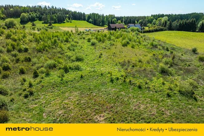 Magiczna działka na Warmii - stawy i zieleń