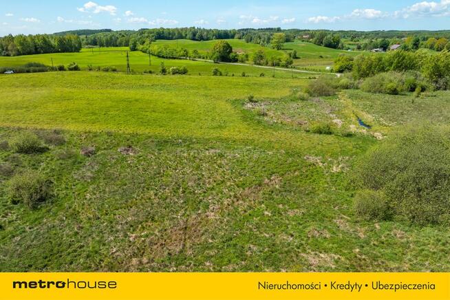 Magiczna działka na Warmii - stawy i zieleń