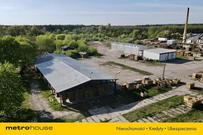 Czynny tartak z dużym potencjałem.