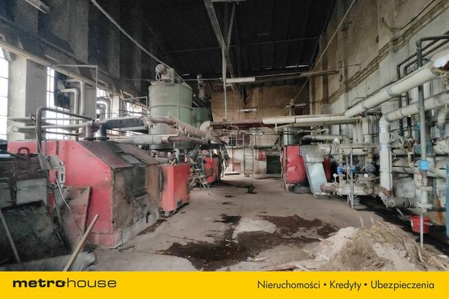 Czynny tartak z dużym potencjałem.