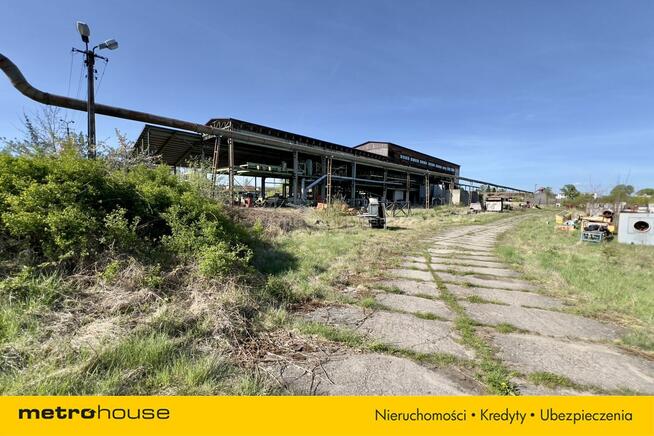 Sprzedam czynny tartak na rozległej działce.