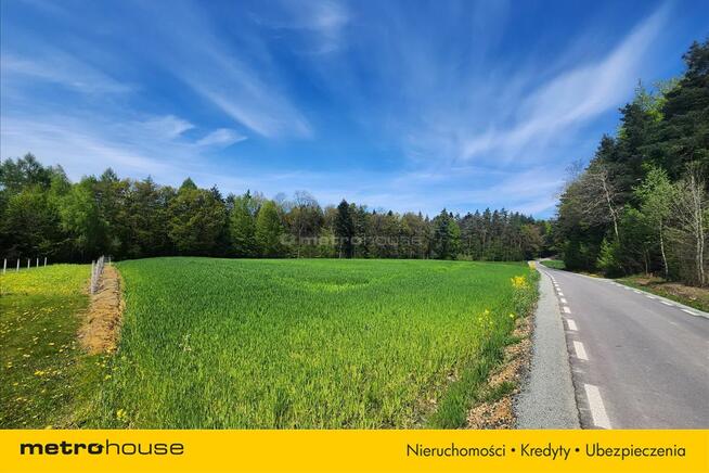 Działka budowlana pośród lasu z dala od zabudowań.