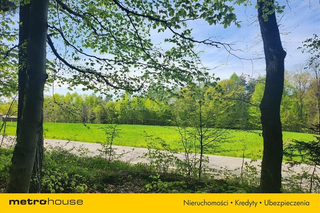 Działka budowlana pośród lasu z dala od zabudowań.