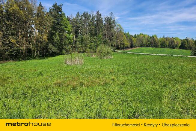 Działka budowlana pośród lasu z dala od zabudowań.