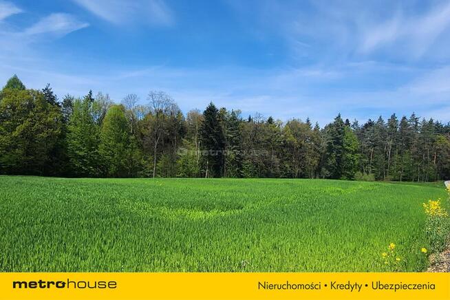 Działka budowlana pośród lasu z dala od zabudowań.