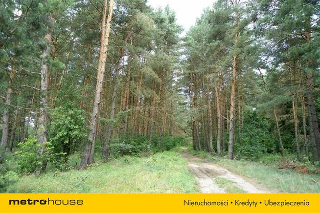 NIERUCHOMOŚĆ GRUNTOWA W CZĘŚCI POD ZABUDOWĘ I LAS