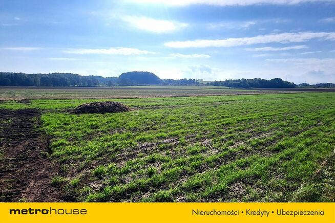 5 działek w Sławoszynie, Karwia BLISKO MORZA