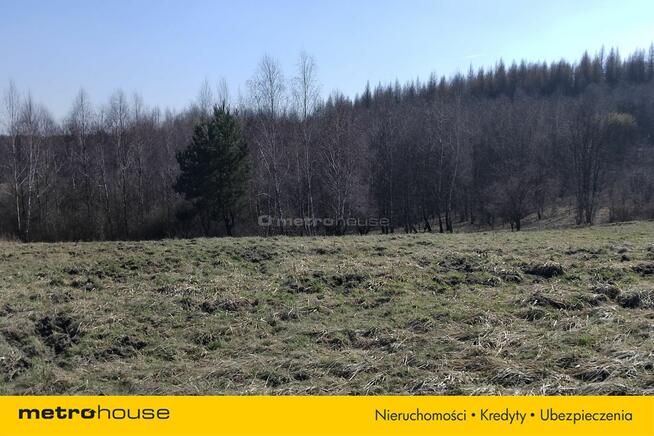 Działka 2,57 ha z dużym potencjałem w Żerkowicach