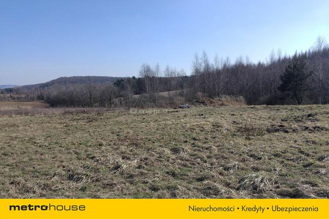 Działka 2,57 ha z dużym potencjałem w Żerkowicach