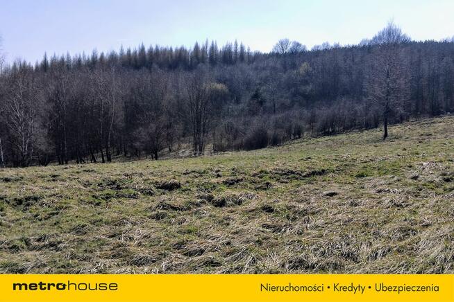 Działka 2,57 ha z dużym potencjałem w Żerkowicach