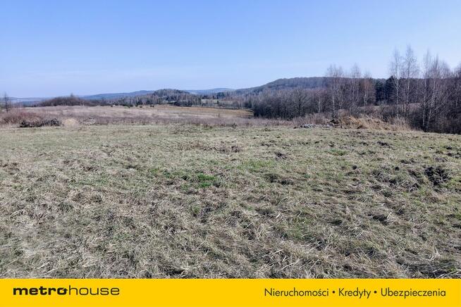 Działka 2,57 ha z dużym potencjałem w Żerkowicach