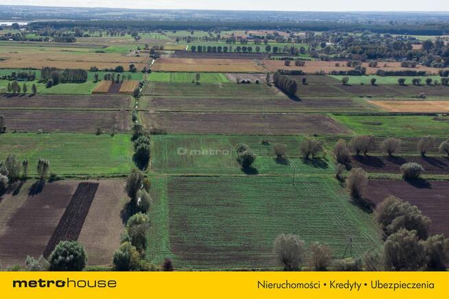 Działka rolna w Krzewsku gm. Markusy - 5191 m.kw.