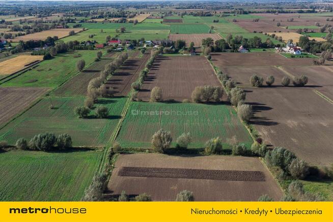 Działka rolna w Krzewsku gm. Markusy - 5191 m.kw.