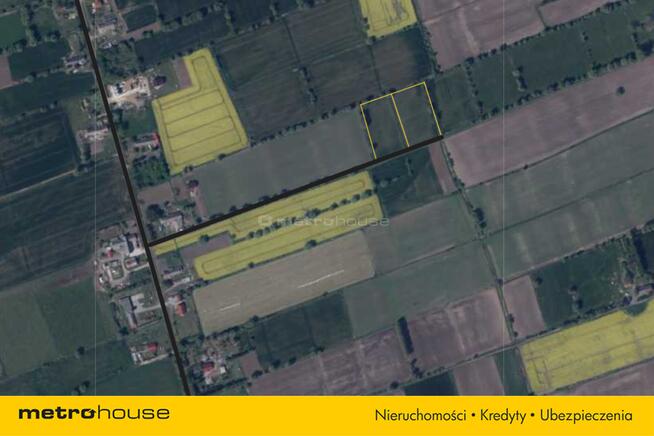 Działka rolna w Krzewsku gm. Markusy - 5191 m.kw.