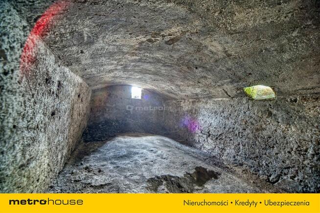 Dom do remontu lub usunięcia na pięknej działce