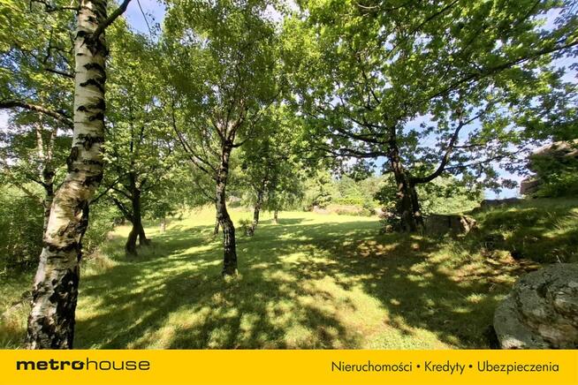 Pensjonat Borowice/ Karpacz 780m2, 1ha terenu