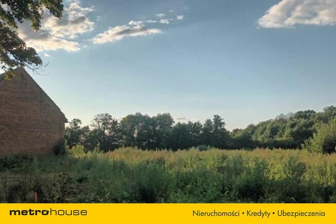 Brzezie działka inwestycyjna niedaleko Trzebnicy