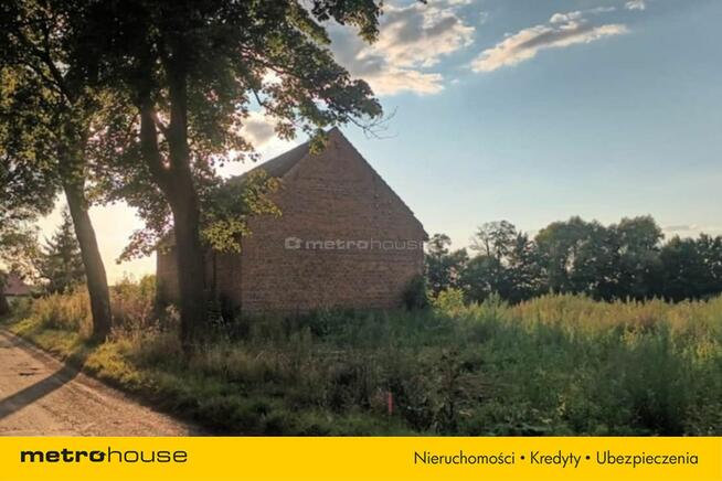 Brzezie działka inwestycyjna niedaleko Trzebnicy