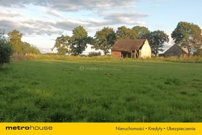 Brzezie działka inwestycyjna niedaleko Trzebnicy