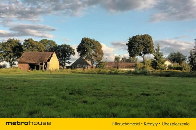 Brzezie działka inwestycyjna niedaleko Trzebnicy