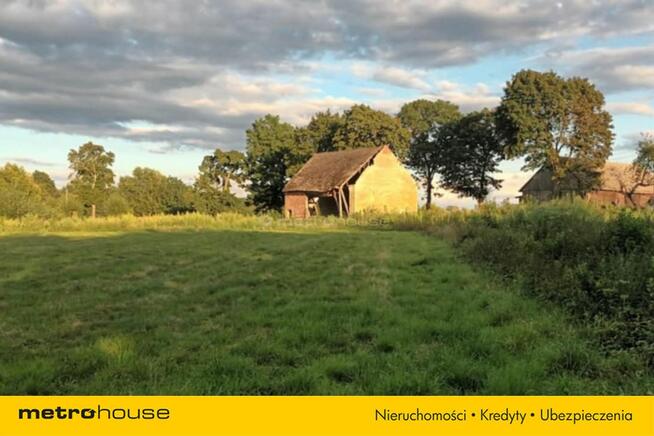 Brzezie działka inwestycyjna niedaleko Trzebnicy