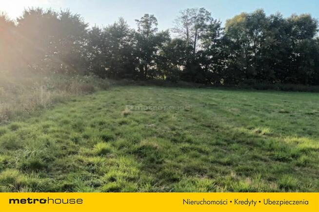 Brzezie działka inwestycyjna niedaleko Trzebnicy