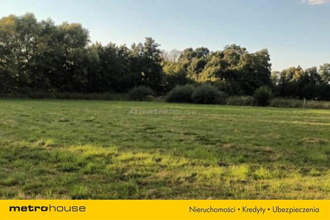 Brzezie działka inwestycyjna niedaleko Trzebnicy