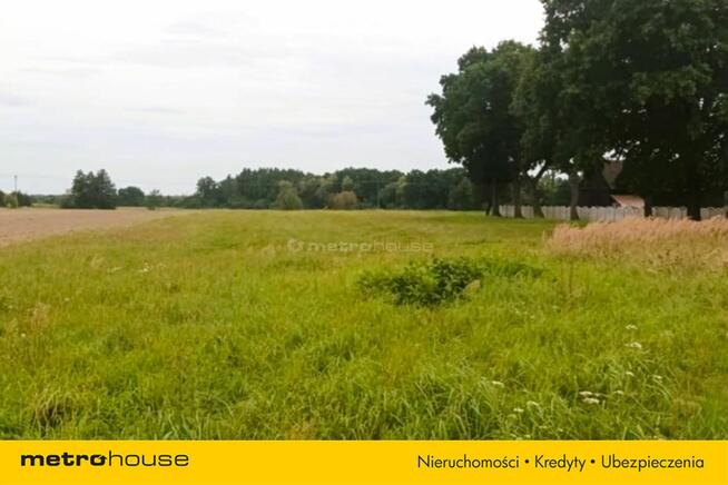 Duża działka z możliwością podziału.- Brzezie