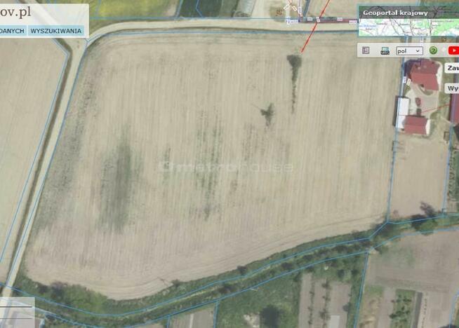 Ujeździec Wielki - Duża działka z możliwościami