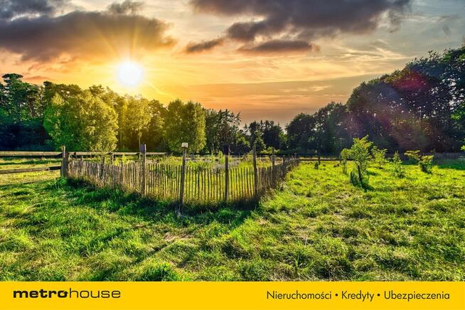 Energooszczędny przy Kampinosie z sadem i stawem.