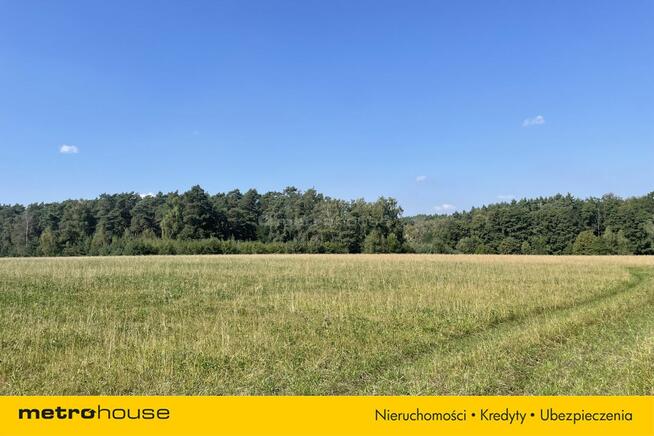 Działki budowlane - dostępne różne wielkości