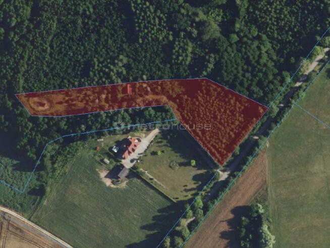 Działka z domkiem i stawem Kierwiny, Warmia