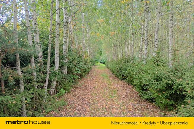 Działka z domkiem i stawem Kierwiny, Warmia