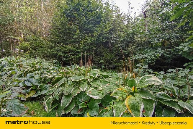 Działka z domkiem i stawem Kierwiny, Warmia