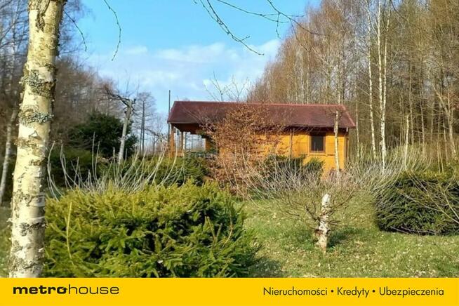 Działka z domkiem i stawem Kierwiny, Warmia