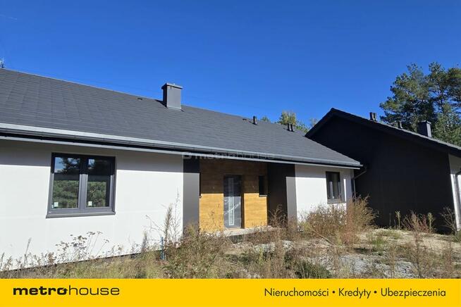 2 domy na działce w otoczeniu lasu, Rozgarty