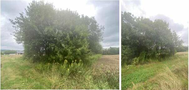 Nieruchomość niezabudowana - Poręby