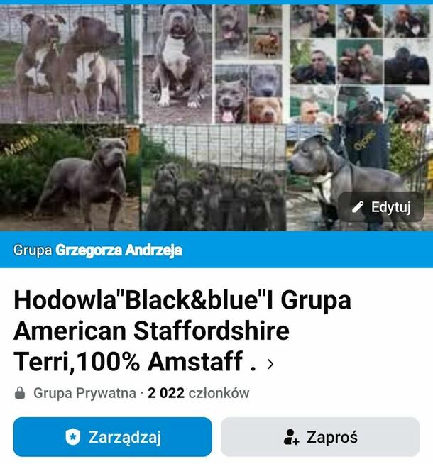 Hodowla Black Blue