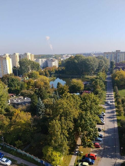 Bielany dwupokojowe rozkładowe