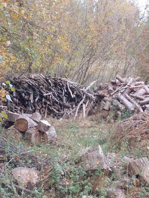 Drewno kominkowe/opałowe