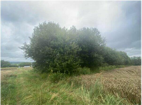 Nieruchomość niezabudowana - Poręby